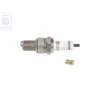 101 000 006 AC : spark plug - Zuendkerze