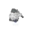 3B0 422 154 H : Pompe à vane pour VW Passat B5GP