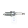 101 905 600 : Bougie d'allumage pour VW New Beetle