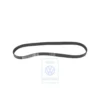 021 145 933 C : belt - K RIPPRIEM