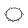 02D 525 291 AF : - hose - Scheibenrad Pirelli