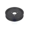 077 145 255 G : Poulie de courroie pour VW Touareg