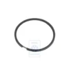 113107371 : segment racleur - oil scraper ring - Oelabstreifring